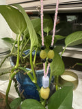 Beaded Stone Necklace